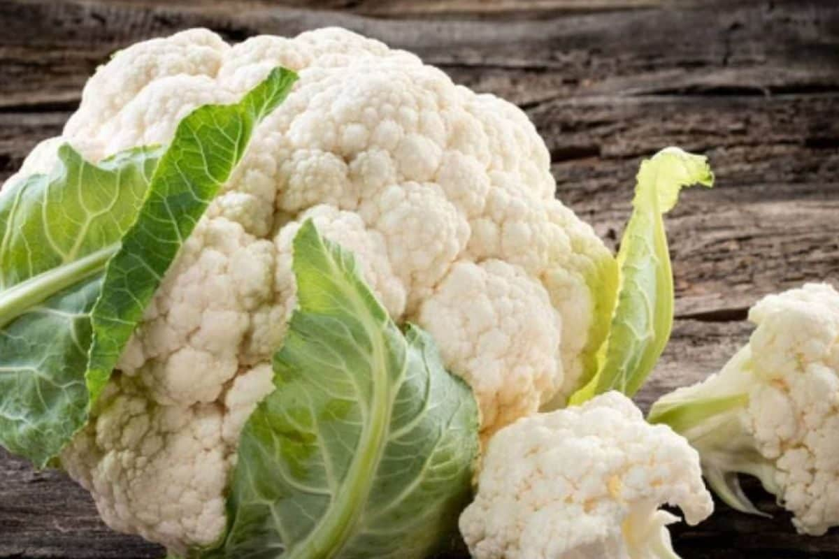 Winter Special Dish: Healthy And Delicious Cauliflower-Curd Recipe