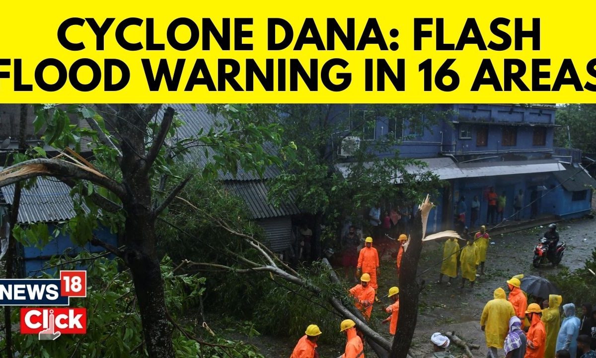 Cyclone Dana: Trees Uprooted, Roads Damaged, Over 10 lakh Evacuated