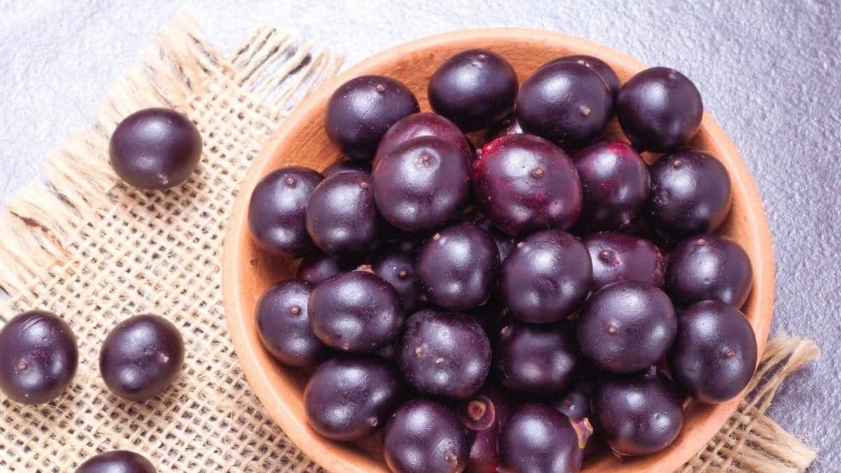 7 Reasons Why Everyone Should Consume Acai Berries – News18