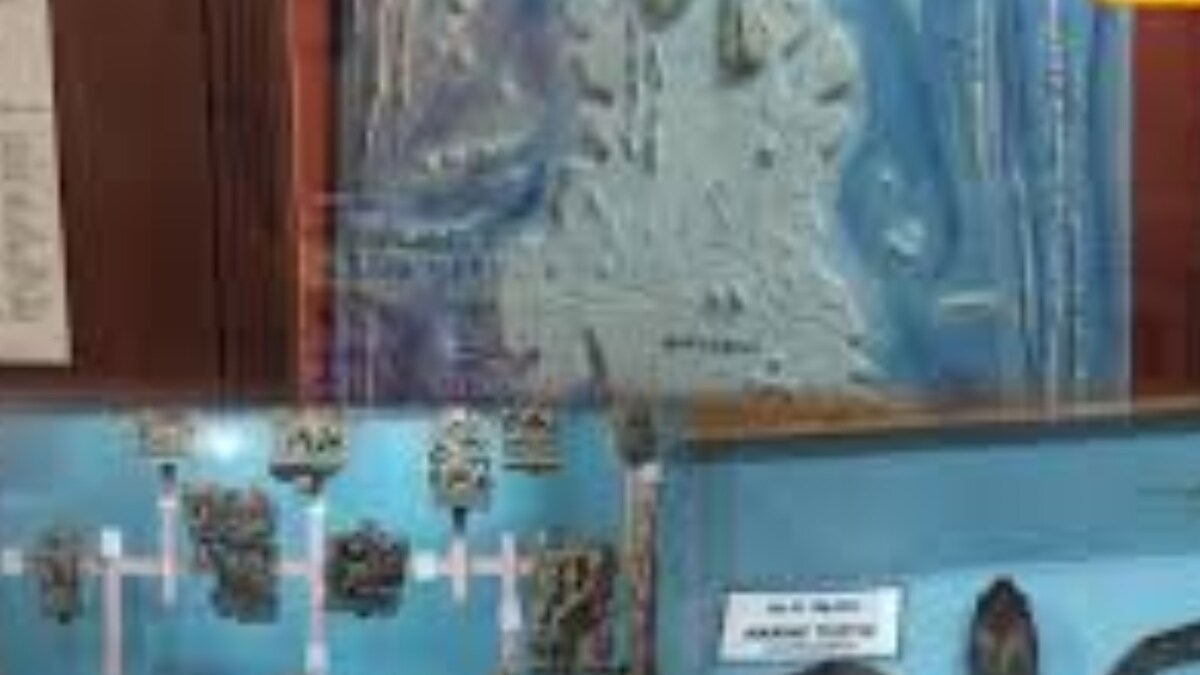 Step Back In Time As Kanyakumari’s Govt Museum Reveals The Region’s Rich Past