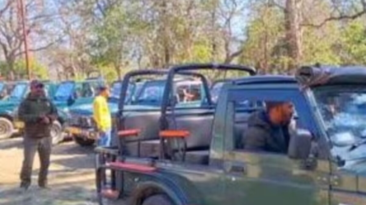 Uttarakhand Jobs 2024: Applications Open For 186 Posts In Jim Corbett National Park