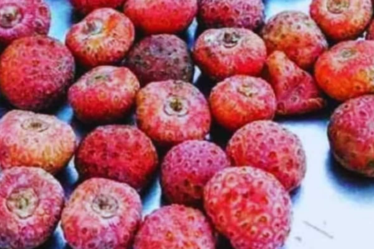 Keeping Diabetes Under Control To Boosting Immunity, Benefits Of Himalayan Strawberry