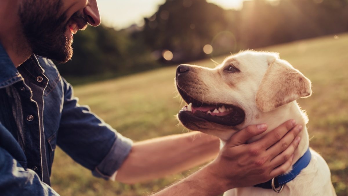 6 Ways How Dogs Improve Health And Help You Live Longer