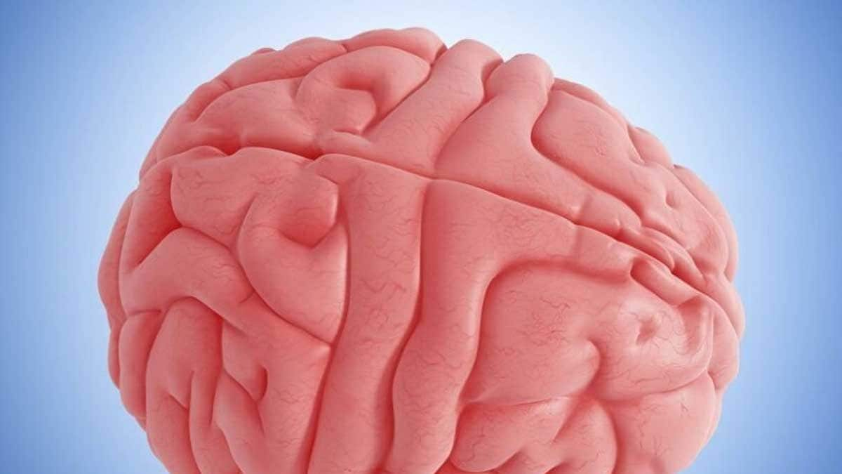 Unlock the Secrets to a Healthier Brain: Experts Expose Lifestyle Habits Accelerating Brain Aging