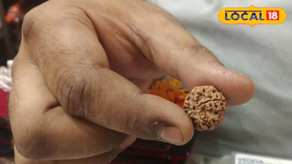 How To Tell The Difference Between Real And Fake Rudraksha? – News18