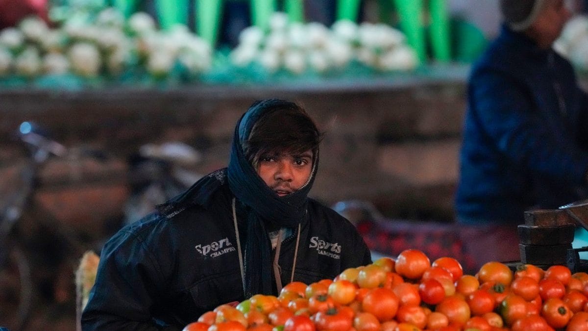 Delhi’s Najafgarh Vegetable Market Vendors Ordered To Display Names, Numbers On Carts – News18 Delhi’s Najafgarh Vegetable Market Vendors Ordered To Display Names, Numbers On Carts – News18
