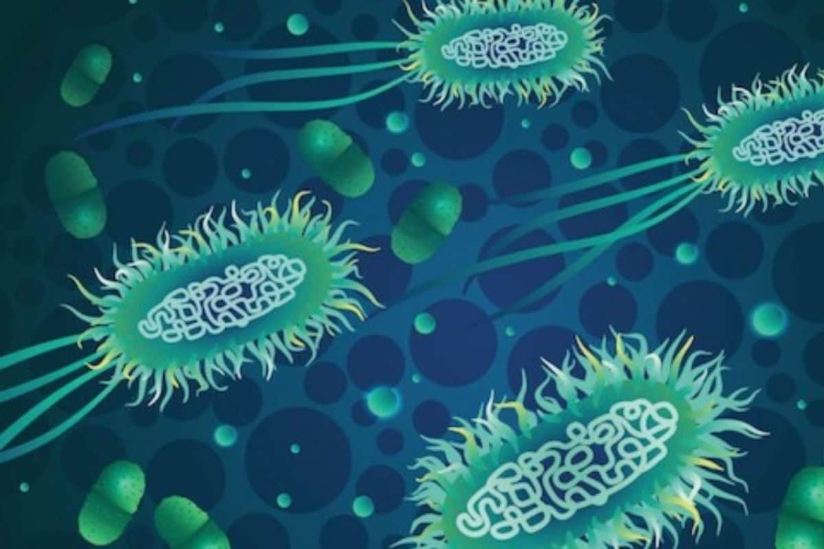 What Do We Know About The Flesh-Eating Bacteria That Is Spreading In Australia? Explained