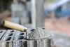 India Cements Shares Plunge 13% As Q3FY25 Net Loss Widens To Rs 428 Crore