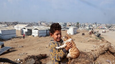 Over 52 Million Children Out Of School In Conflict Zones, Gaza & Sudan ...