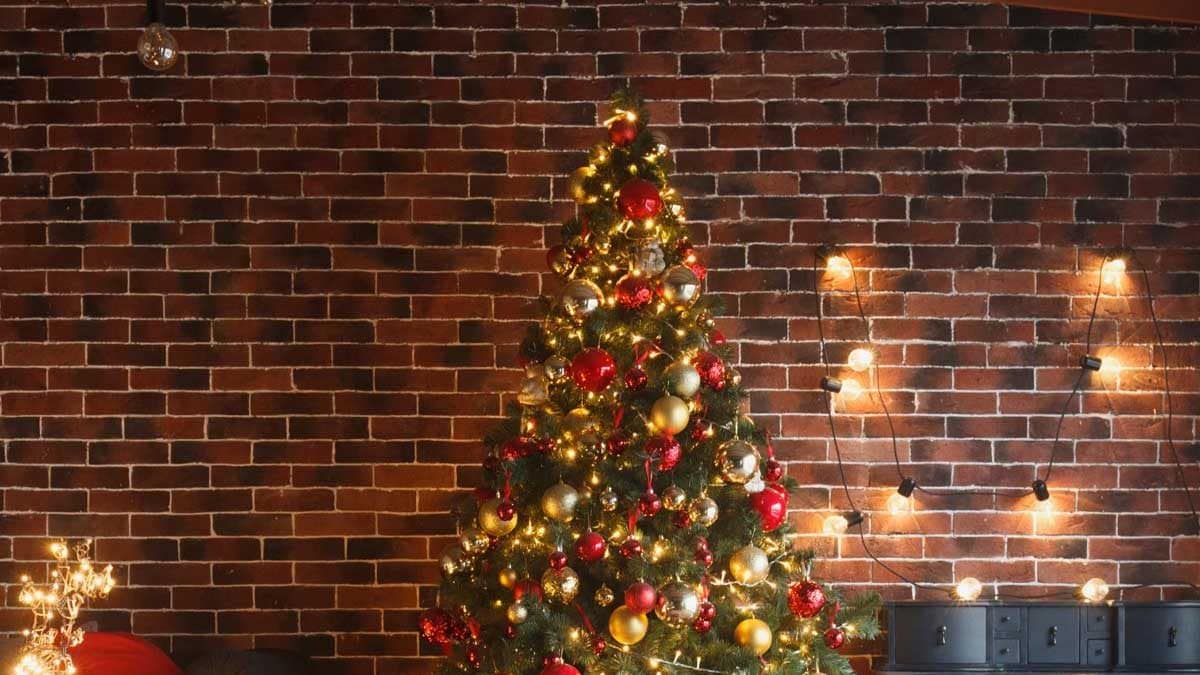 Deck the Hall: Last-minute Decor Ideas To Light Up Your Christmas Celebrations – News18