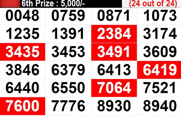 Kerala Lottery Results: Full List of winning Numbers For Pooja Bumper BR-100 | PHOTOS