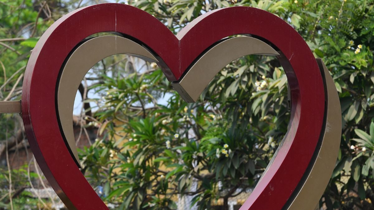 Year Of The Heart: 2024 Saw Big Jump In Check-Ups; Here’s How India Plans To Fight Cardiac Diseases