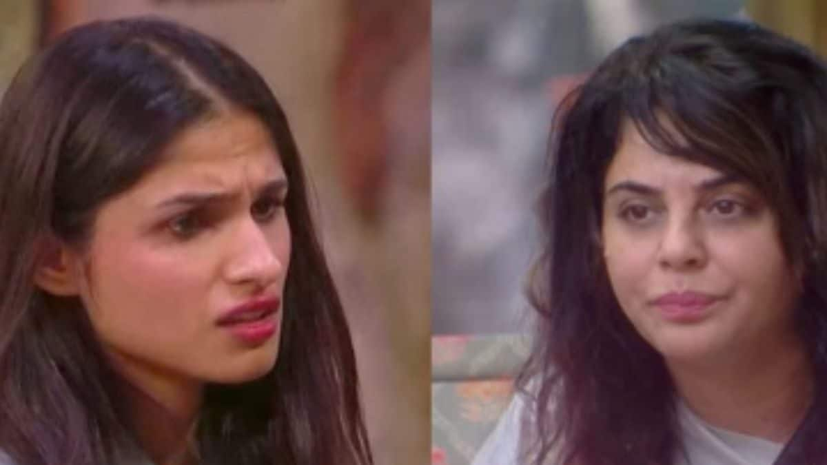 Bigg Boss 18: Sara Arfeen Khan Slaps Herself After A Verbal Spat With Edin Rose And Kashish Kapoor – News18