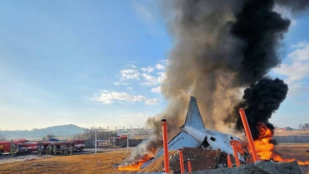 29 Killed As Plane With 181 On Board Veers Off Runway, Hits Fence In South Korea – News18