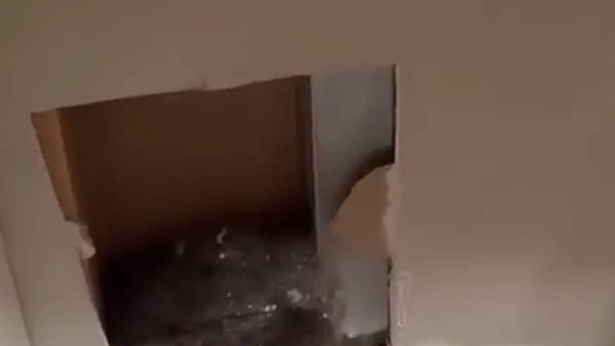 Strange Noises Behind Her Wall: A Woman's Discovery
