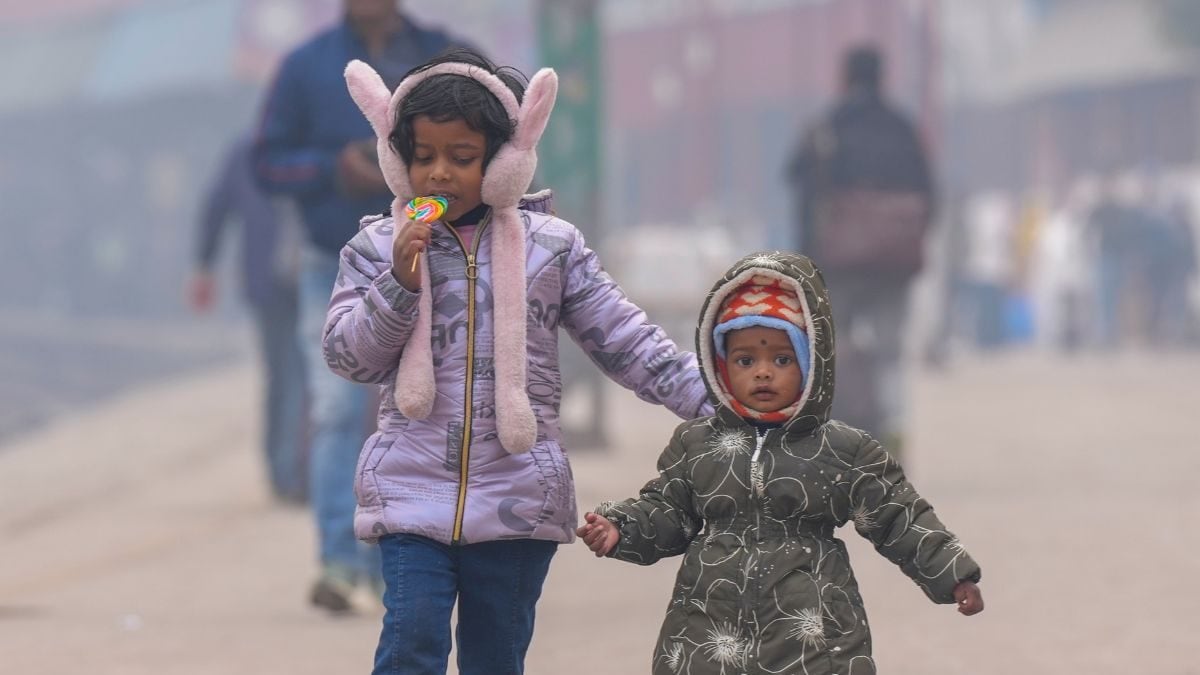 Schools Closed In Delhi-NCR, Haryana And Other States Amid Severe Cold Wave