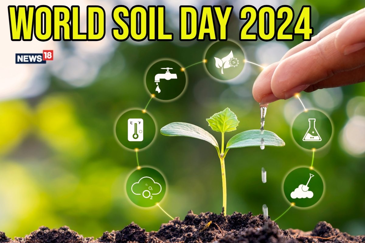 World Soil Day 2024: Theme, History, And Quotes To Celebrate Soil's Importance