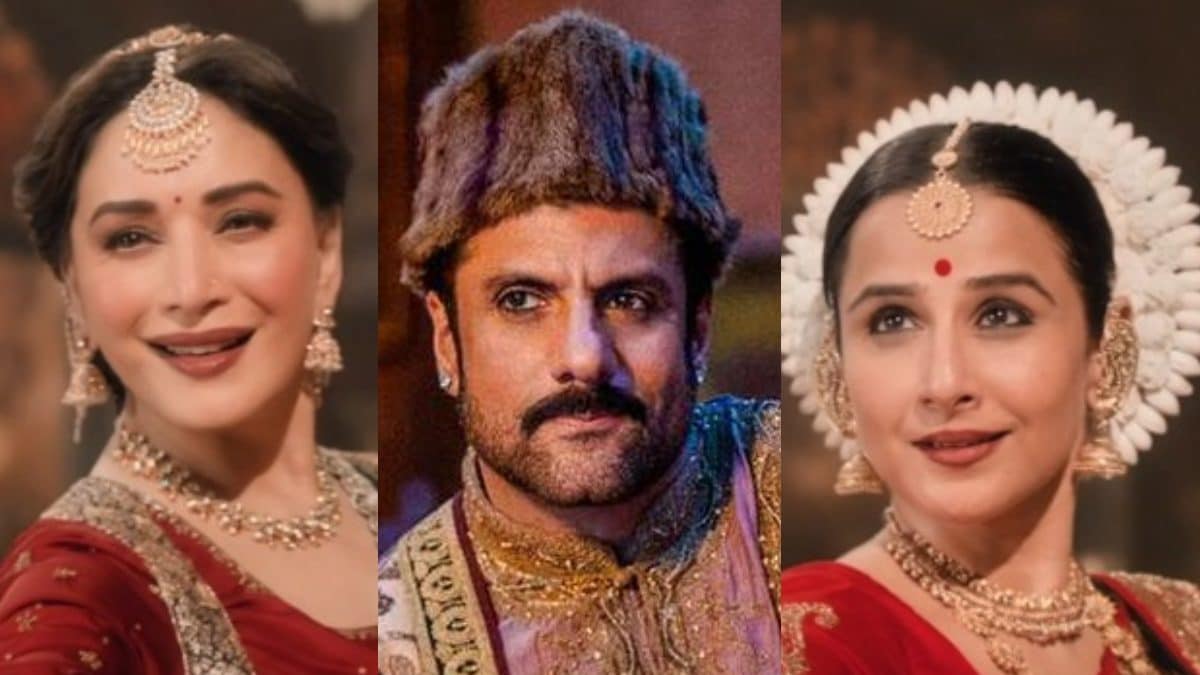 Fardeen Khan To Madhuri Dixit: Bollywood Actors Who Made Stunning Comebacks In 2024