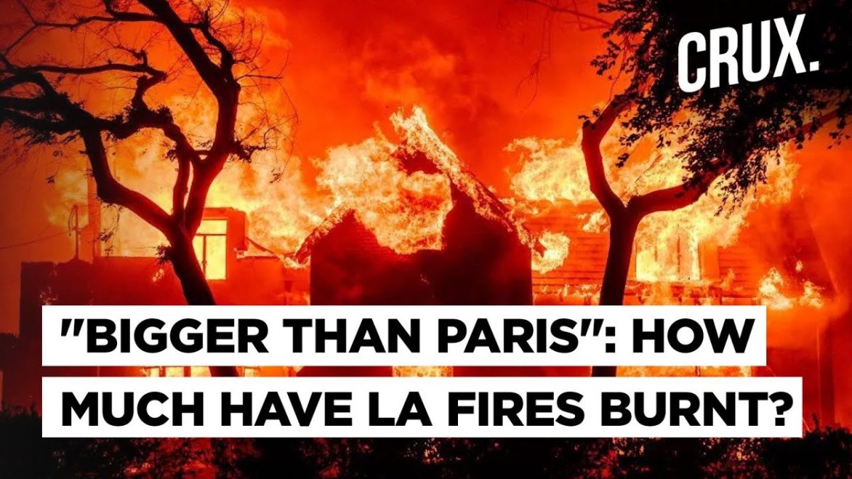 From Manhattan To Chicago: Los Angeles Wildfires Are Big Enough To Swallow Entire Cities | US News
