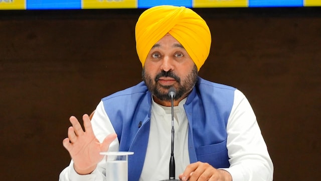 Punjab CM Bhagwant Mann (File)