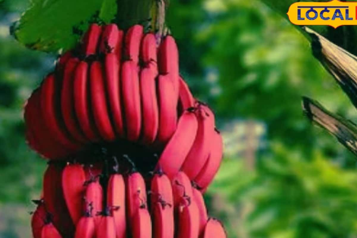 Are Red Bananas Healthier Than Yellow Ones?