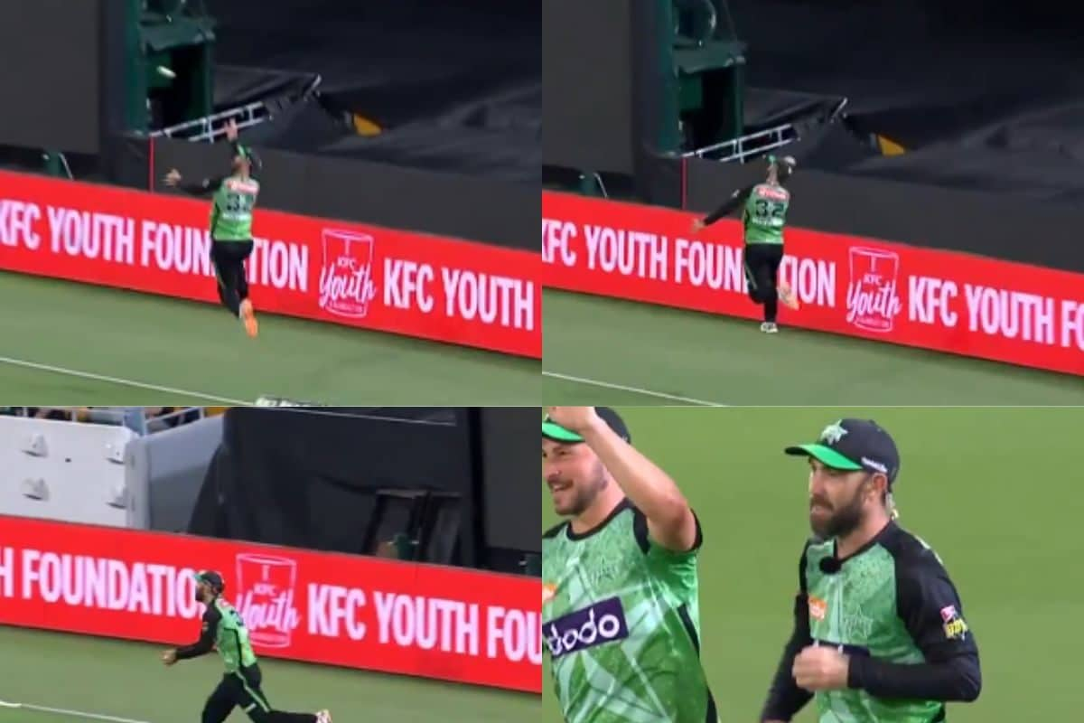 Watch: Glenn Maxwell's Superhuman Catch For Melbourne Stars To Get Rid Of Brisbane Heat's Will Prestwidge