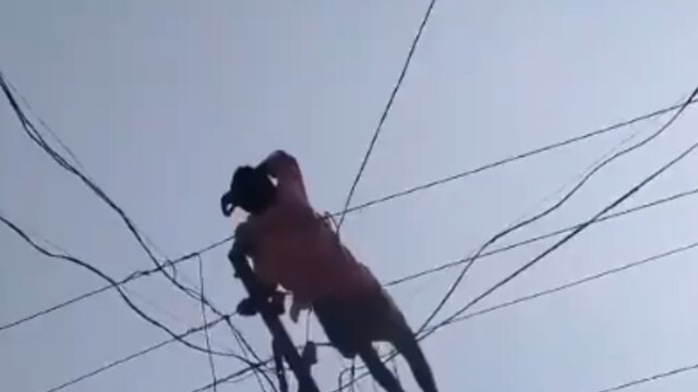 Drunk Man Climbs Electric Pole In Andhra, Goes To Sleep On Wires Mid ...
