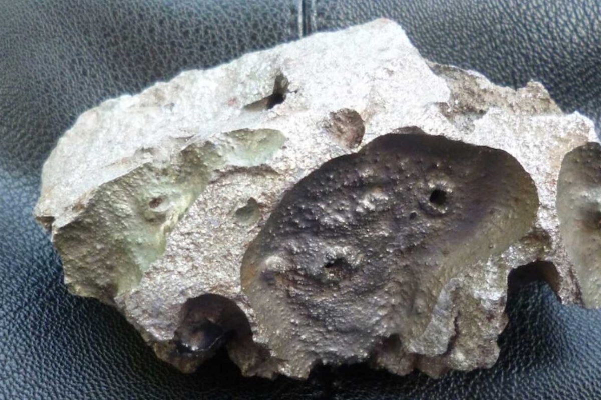 imageby_nvnbhanwala_news18-