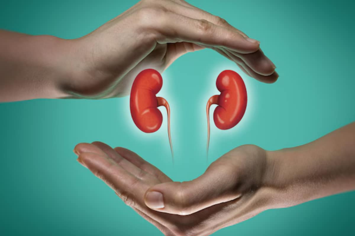 Kidney Cancer: Revolutionary Changes in Treatment with New-Age Technology