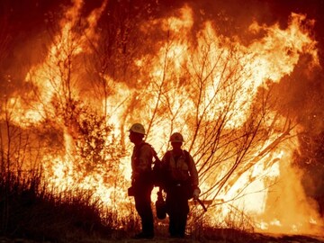 Los Angeles Wildfires Kill At Least 16, Dozens Missing As Flames Devastate  Neighbourhoods - News18