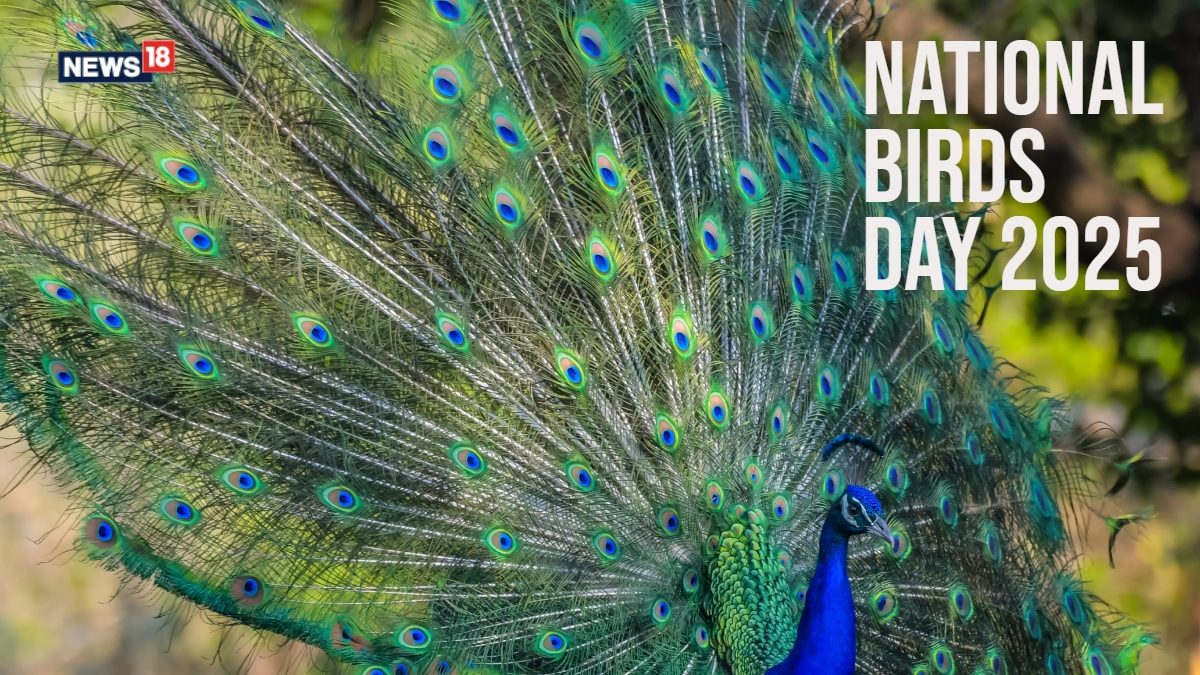 National Bird Day 2025: History, Significance, And How To Celebrate on January 5 – News18