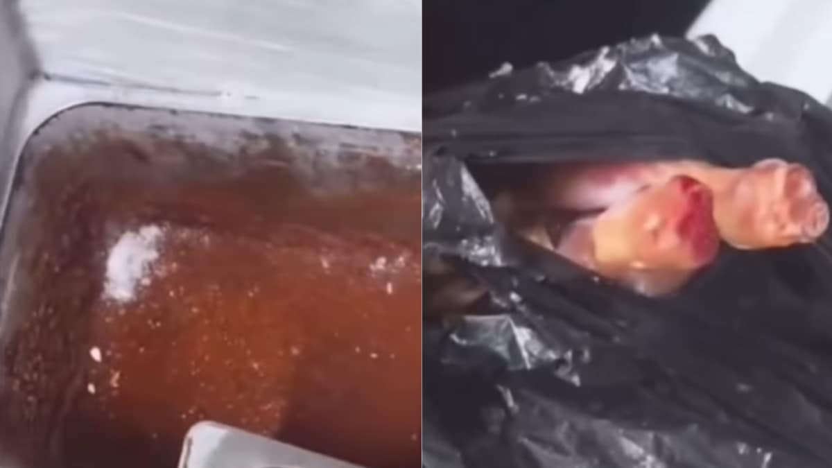 Jaipur Restaurant Kitchen: Vegetarian Food Stored With Meat, Inspectors Find