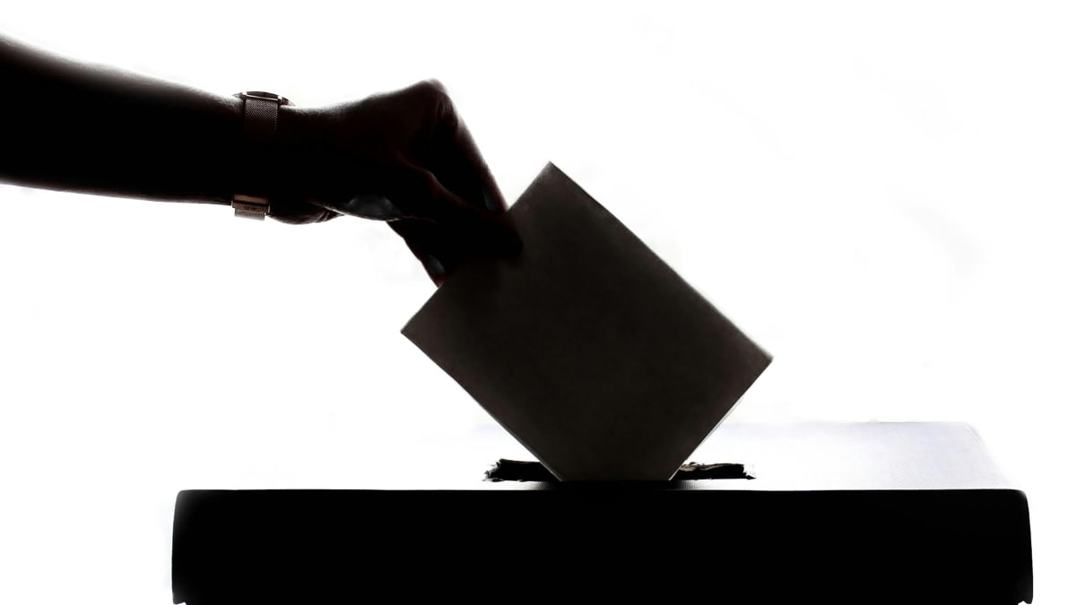 Is Democracy Broken? This Philosophy Professor Believes Plato's Work Might Have A Solution