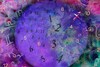 Numerology, 22 January, 2025: Numbers 1, 2, 3 & More – What's In Store For Your Day Ahead?