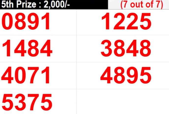 Kerala Lottery AK-685 Results Screenshot