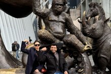 Hansika Motwani Shares Witty Note For Brother Amid Sister-In-Law's Domestic Abuse Charges