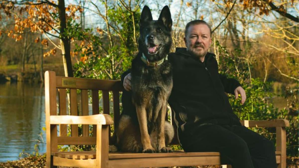 Ricky Gervais Pays Emotional Tribute To Beloved After Life Dog, Antilly