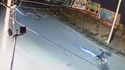 Leopard Collides With Bike-Borne Milkman While Crossing Road In Udaipur ...