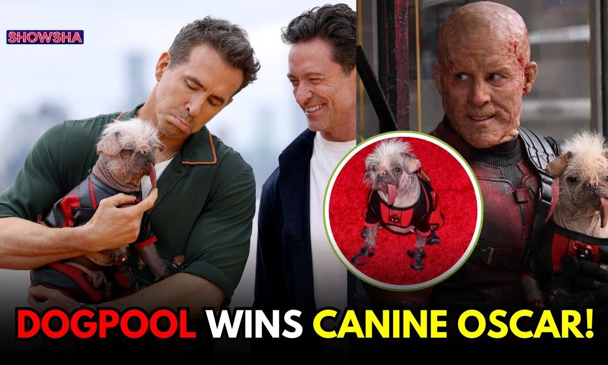 'Deadpool & Wolverine' Star Peggy AKA Ryan Reynold's Dogpool Wins Big ... 'Deadpool & Wolverine' Star Peggy AKA Ryan Reynold's Dogpool Wins Big ...