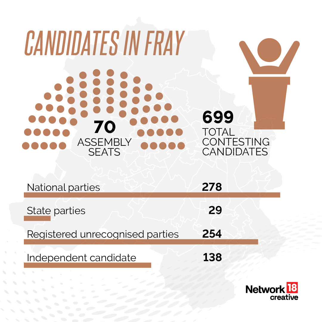 Statistical Breakdown Of Candidates Contesting Delhi Polls GFX News18