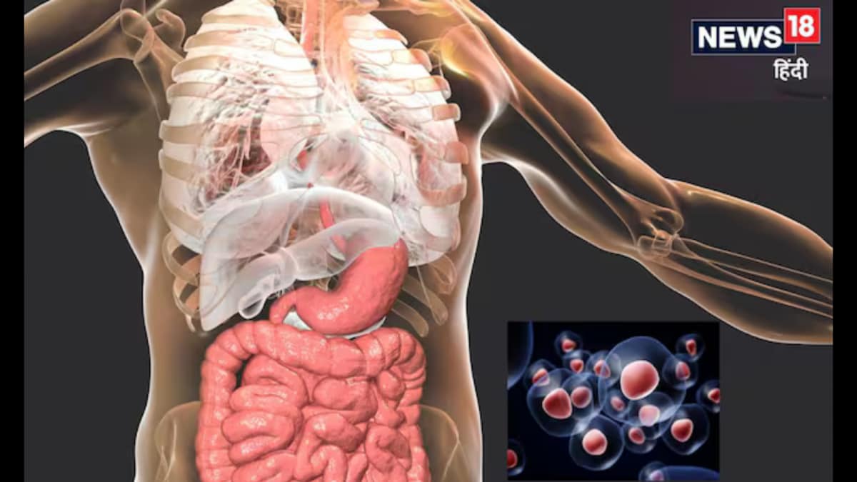 GK: Does The Human Body Fully Regenerate Every Seven Years? Here’s What ...