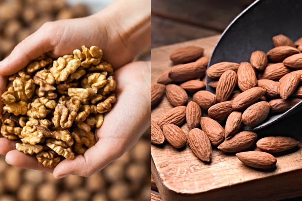 Walnuts Vs Almonds: What Should You Choose For Better Memory?