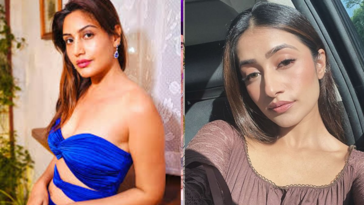 When Surbhi Chandna Said She ‘Would Love To Meet’ Lookalike Dhanashree Verma