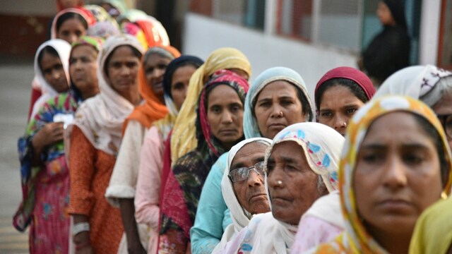 Delhi Assembly Elections 2025 (AP file photo)