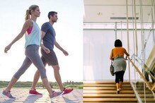 Climbing Stairs Or Walking: Which Burns More Calories?