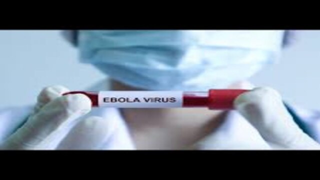 Ebola virus. (File photo)