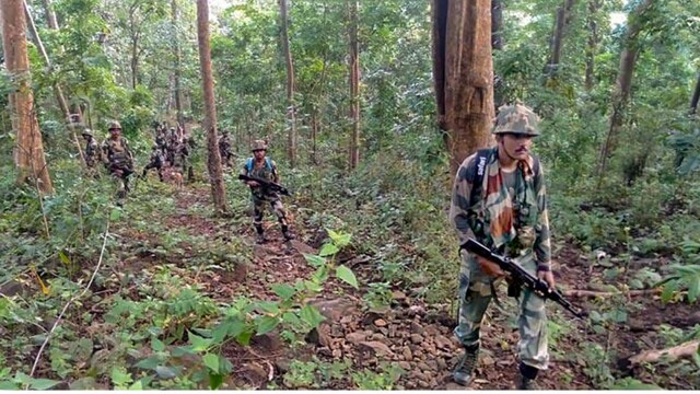One naxal has been killed in Bijapur National park area (Representative image)