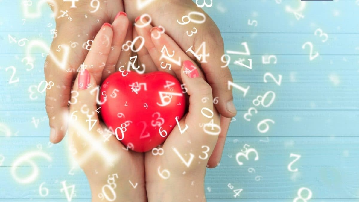Numerology, February 8, 2025: Numbers 1, 2, 3 & More – What’s In Store For Your Day Ahead? – News18 Numerology, February 8, 2025: Numbers 1, 2, 3 & More – What’s In Store For Your Day Ahead? – News18