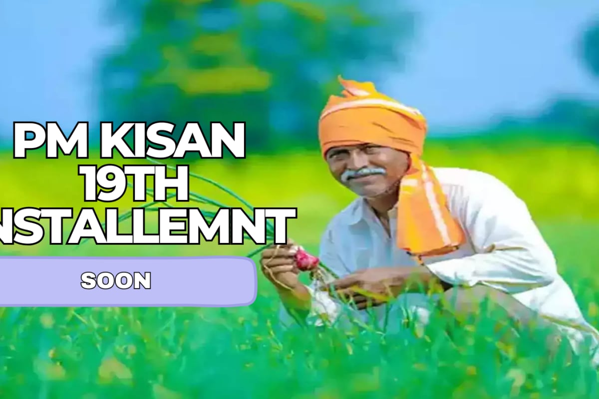 PM Kisan 19th Installment Date Announced: PM Modi To Release Funds On This Date; Check Your Beneficiary Status