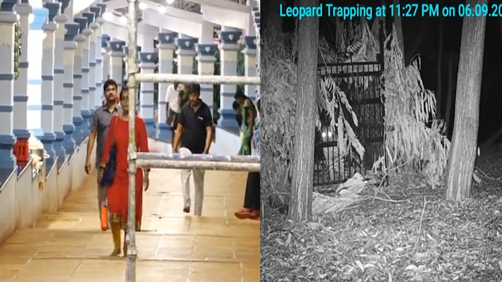 Tirupati Temple News: TTD Makes Big Policy Change, Only These Devotees Will Get Room Allotments Tirupati Temple News: TTD Makes Big Policy Change, Only These Devotees Will Get Room Allotments